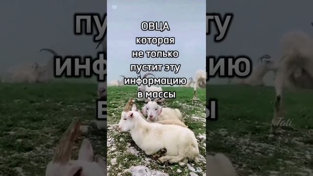 10 января 2023 г.