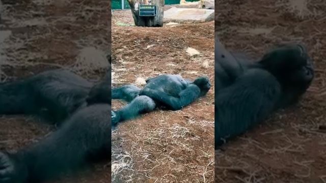 Минуты расслабления ))))).
