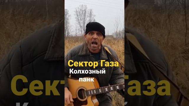 Сектор газа. Колхозный панк.#rok #guitar #юмор