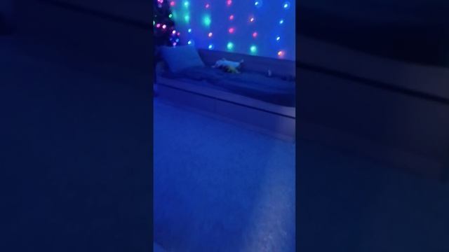 Скоро новый год) ❄️⛄