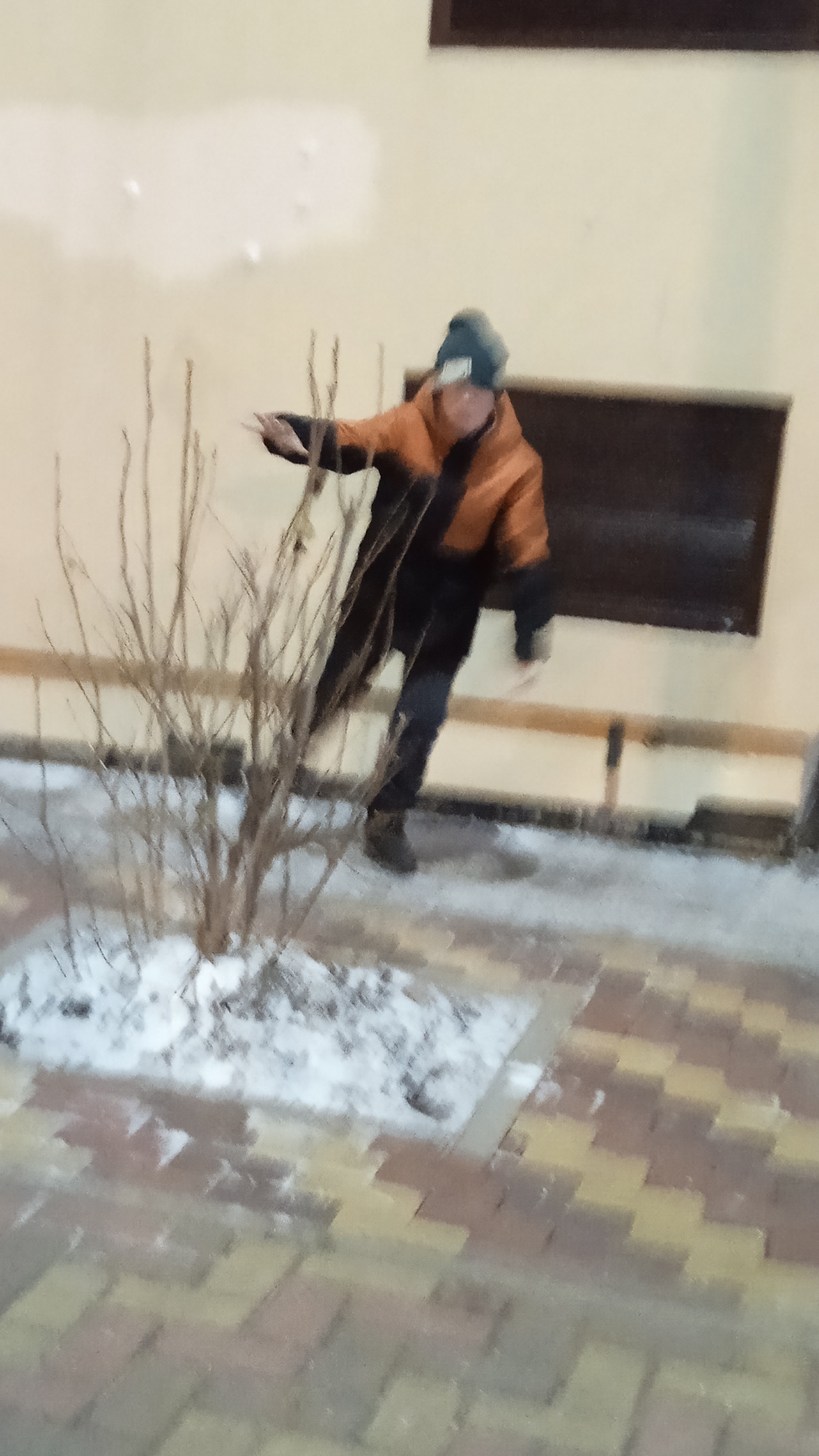 катаемся на льду чек
