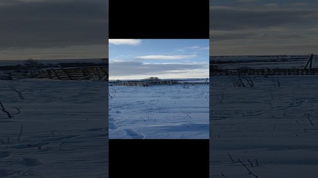 Зима жуткий холод