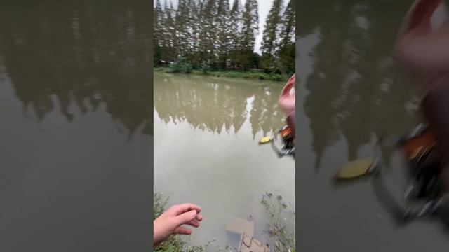 1000023837.mp4