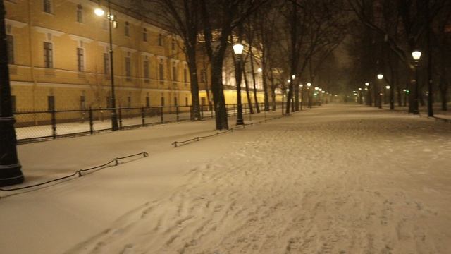 Елочка на Сенатской. Соскучился по падающему снегу с прошлого сезона. Суббота, 14 декабря 2024