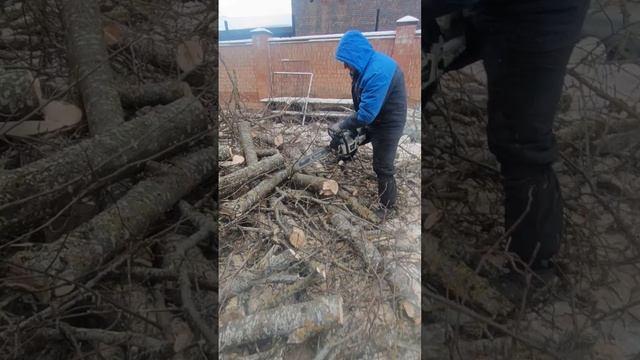 zimani 365 pro по мерзлому дереву