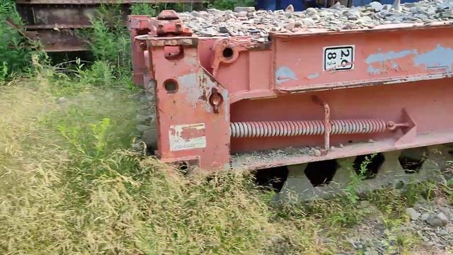 Ценные находки в глухой тайге  Не лесом единым
