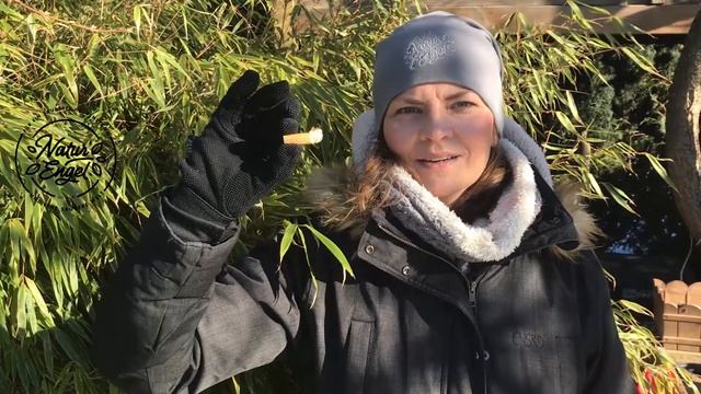 Zigaretten Entsorgung - die Naturengel