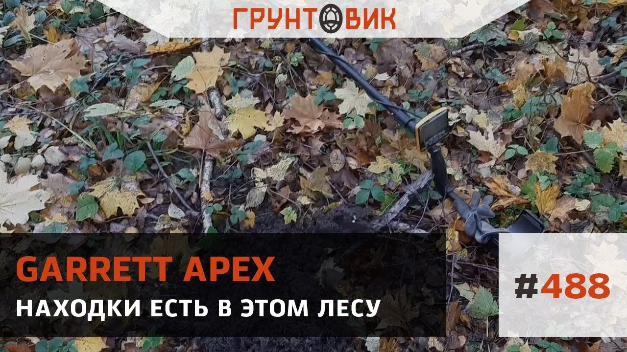 #488 Находки есть в этом лесу. Коп с Garrett Apex