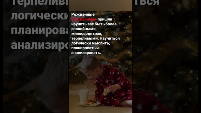 Чему вас учит ваш ребенок?