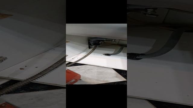 1000056443.mp4