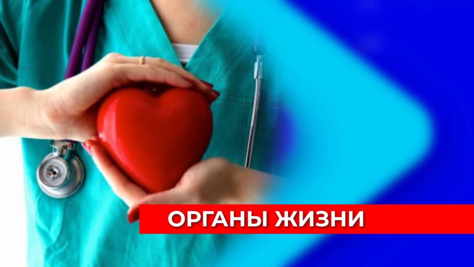 Жертвовать органами для помощи человеку в РПЦ назвали проявлением христианской любви к ближнему