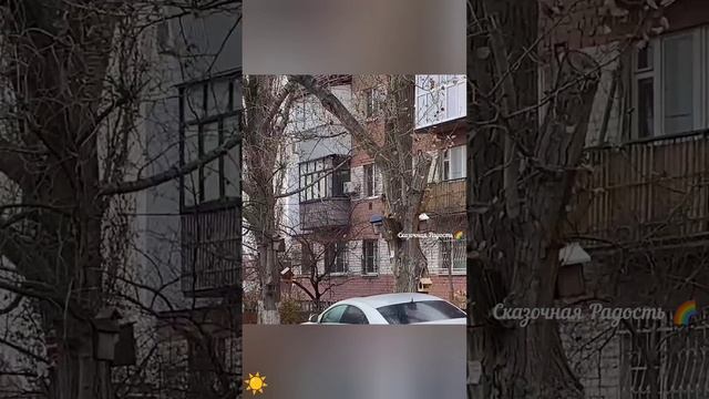 По улицам Саратова бегает красавица  белочка 🐿️2024 год