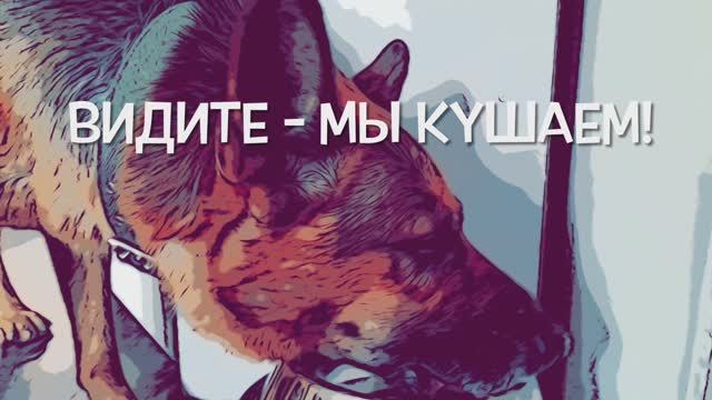 Видите - мы кушаем!
