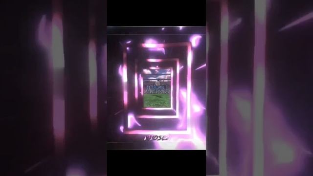1000008074.mp4