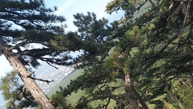 Крым