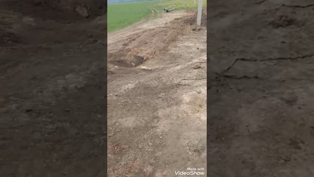 Приключения крота.