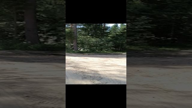 Железнодорожный переезд, Стрельчиха. 24.07.2024.