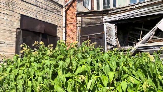 Путешествие на север часть 2. Дальние Зеленцы