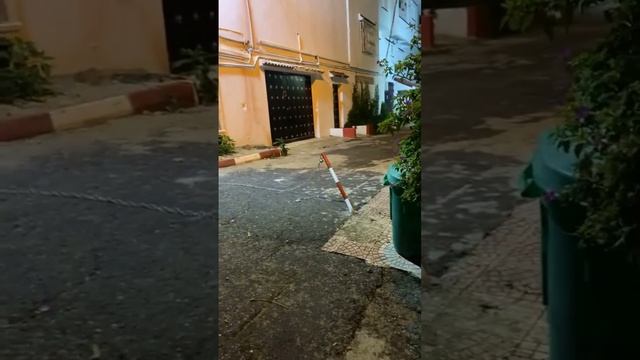1000023912.mp4