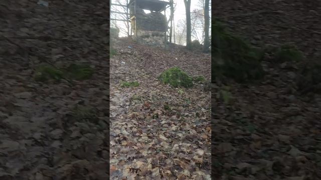 Гераненский замок