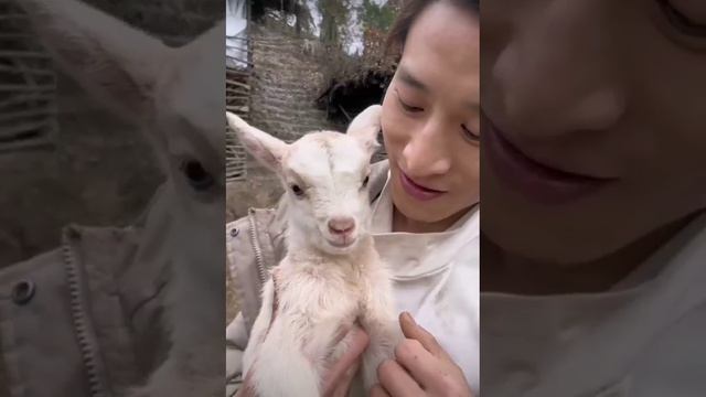 VID_20241214_214955_530.mp4