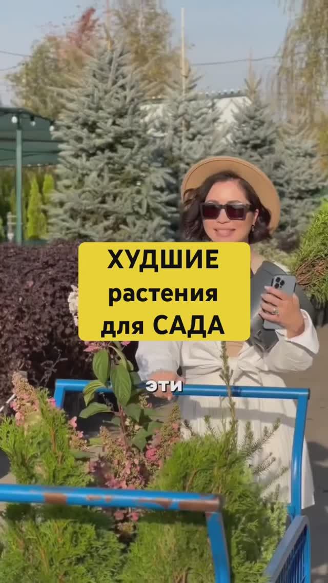 НИКОГДА НЕ САЖАЙТЕ эти 3 растения!