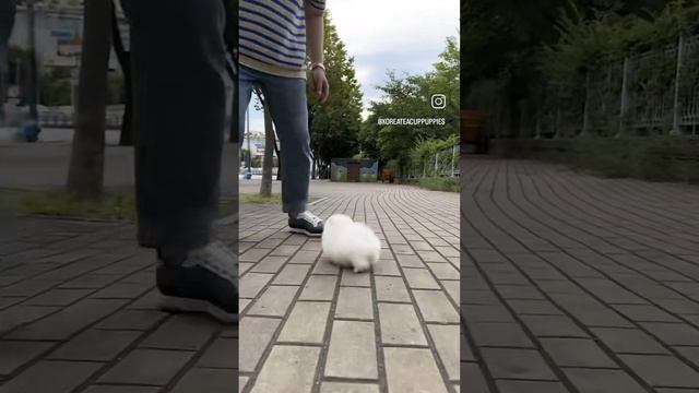 1000079933.mp4