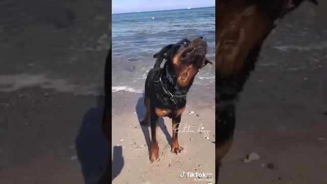 10 января 2023 г.