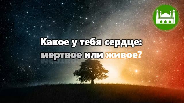 Какое у тебя сердце мертвое или живое  Абу Яхья Крымский