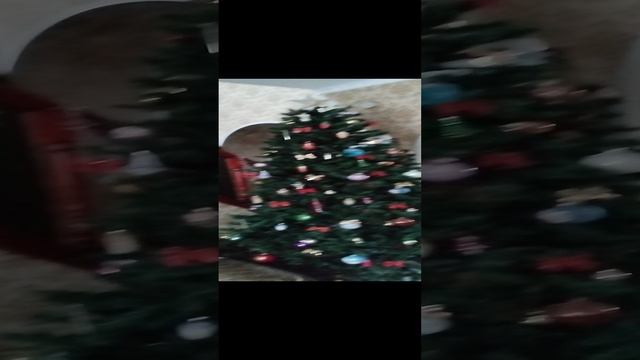 VID_20241214_140413.mp4