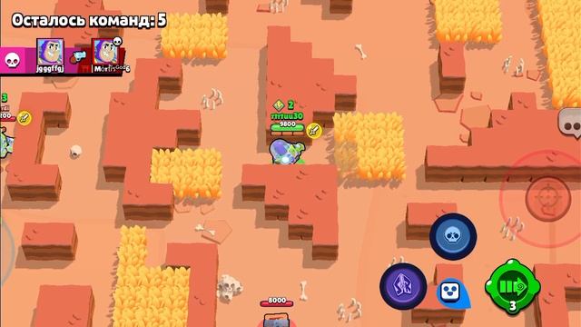 1000017264.mp4