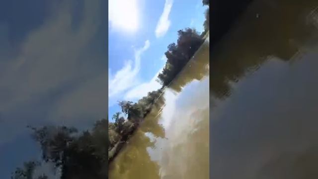 1000023893.mp4