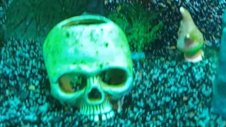 ОКЕАНАРИУМ. СОЧИ ПАРК РИВЬЕРА