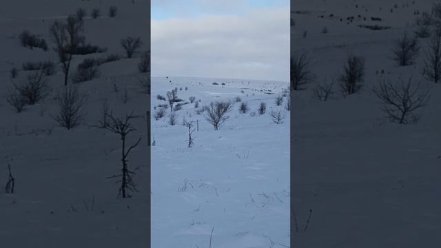 Проверка электропастуха зимой