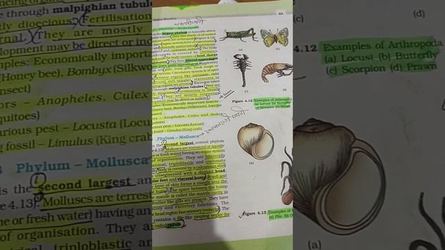 NEET kA STUDENT