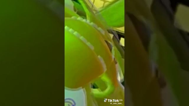 VID-20240625-WA0003.mp4