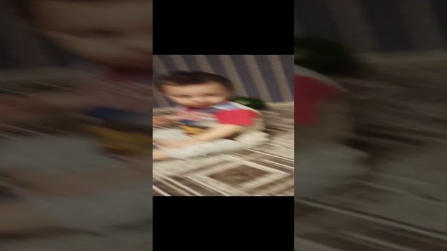 VID_20241214_220603.mp4