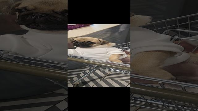 1000001172.mp4