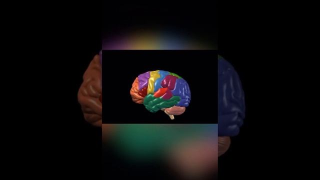 @mbbskadwa0079 human brain anatomy | brain parts | brain anatomy| brain surgery #brain #humanbrain