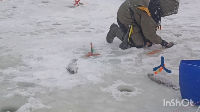 Сегодня не скучно