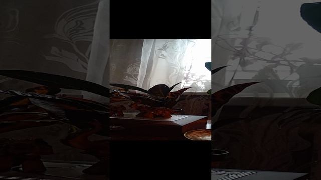 Таро.Вера и поддержка.