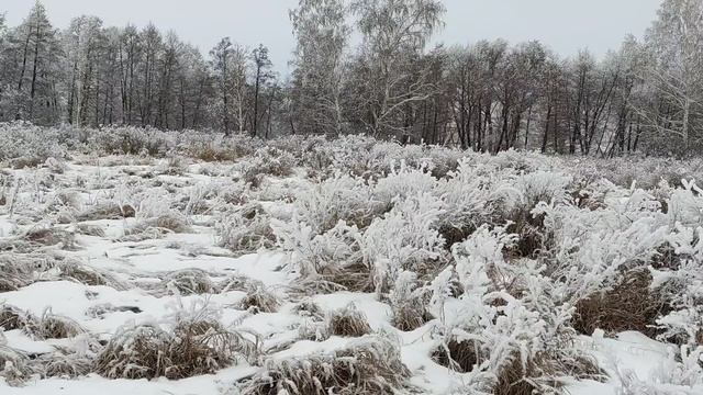 Зима пришла