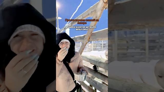 Мурманск -Териберка 2