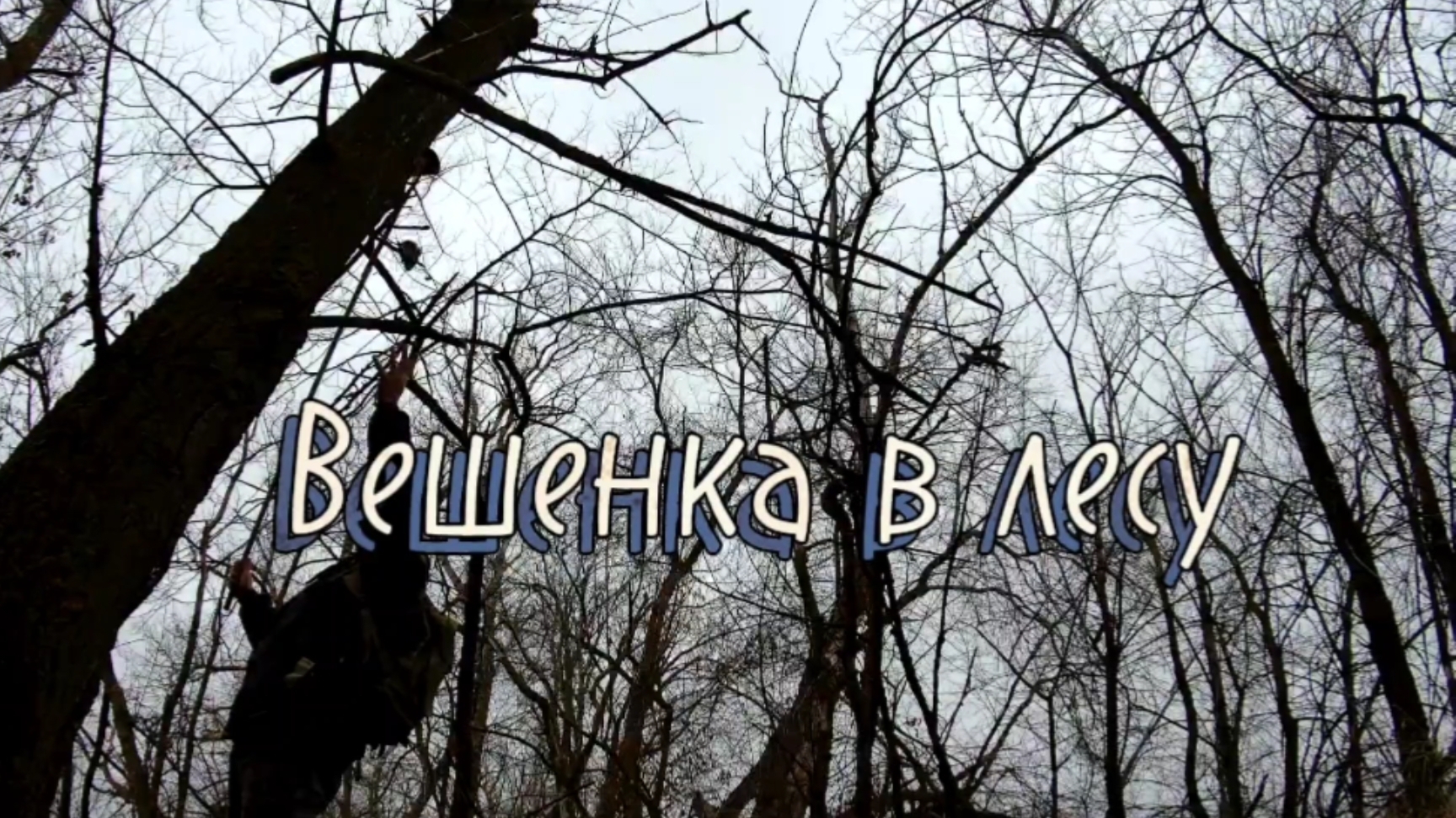 Вешенка в лесу