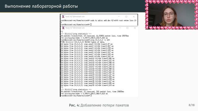 Защита | Лабораторная работа № 5. Эмуляция и измерение
потерь пакетов в глобальных сетях