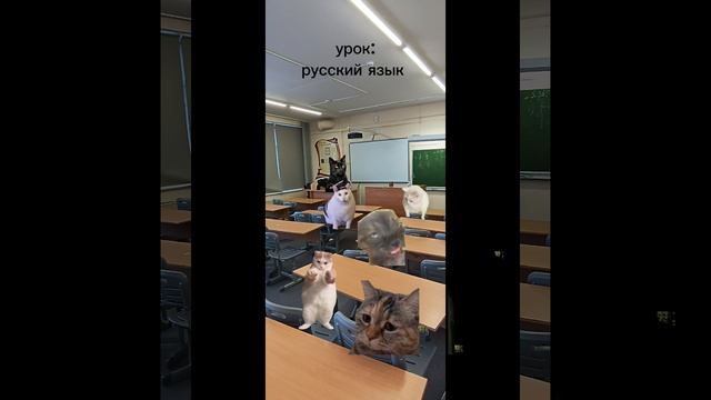 мой обычный день