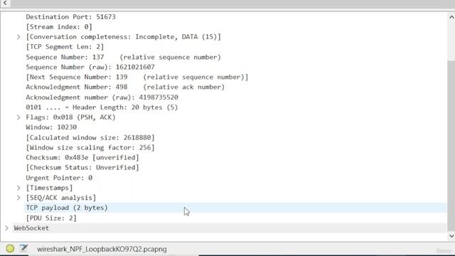 416. Examining a WebSocket ping frame - opcode 0x9