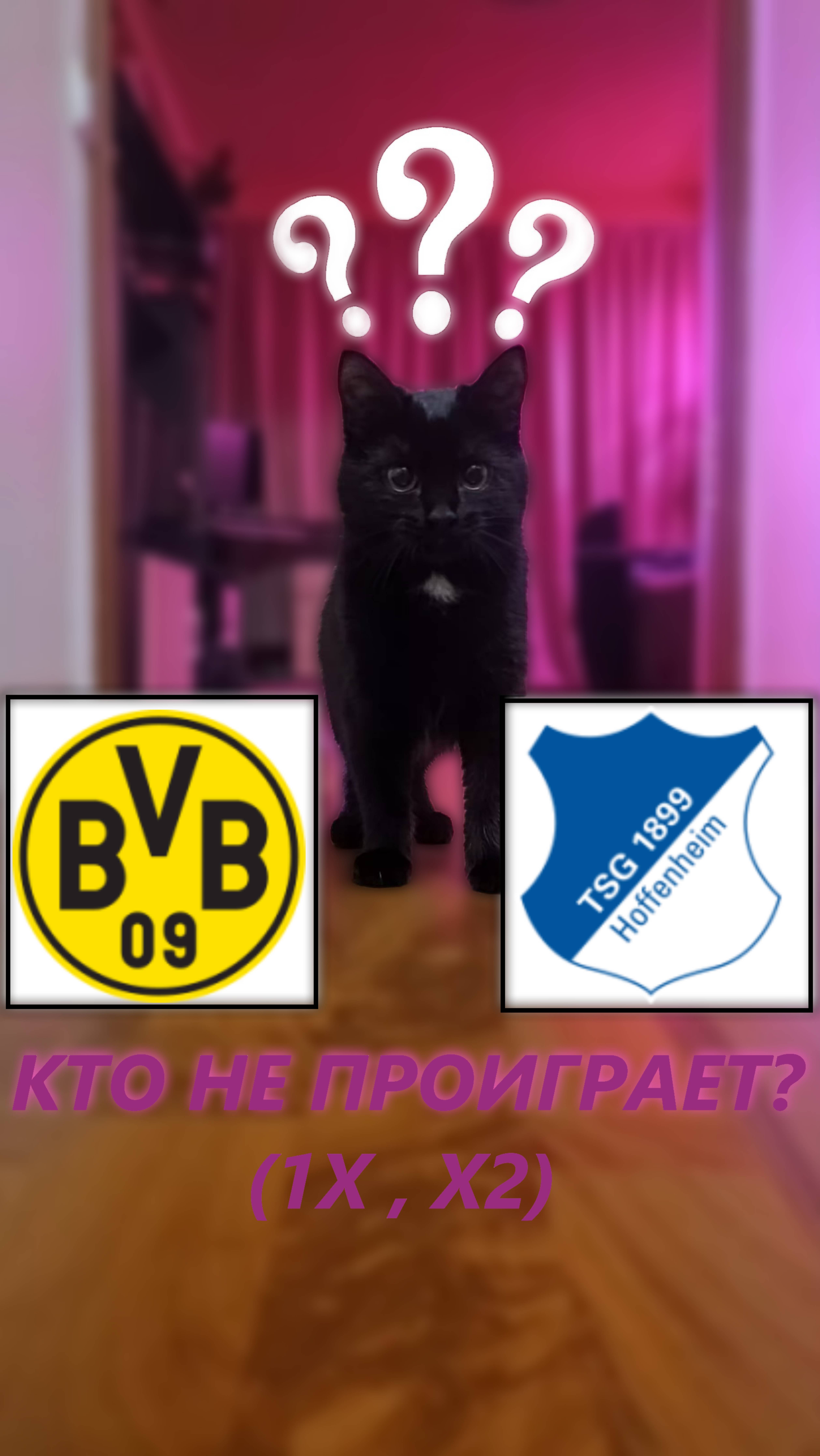 Прогноз на 14 тур Бундеслиги  Боруссия Дортмунд - Хоффенхайм