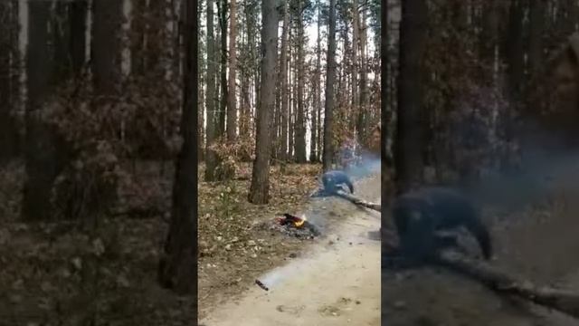 Идеальная синхронность 🤣  #лайфак