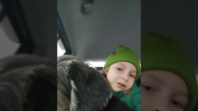 Я еду в Подмосковье с собачкой